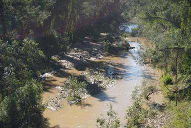 Lifestyle For Sale - NSW - Tabulam - 2469 - NED KELLYS CAMP  (Image 2)