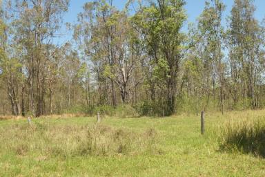 Lifestyle For Sale - NSW - Tabulam - 2469 - UNDER THE SHADE OF A COOLABAH TREE  (Image 2)
