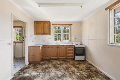 House For Lease - TAS - Claremont - 7011 - Comfortable family home  (Image 2)