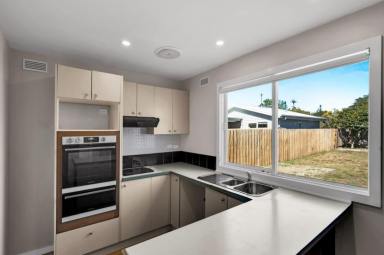 House For Lease - TAS - Invermay - 7248 - Living In Invermay  (Image 2)