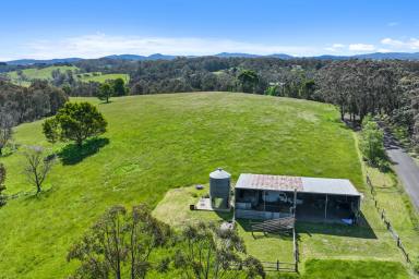 Mixed Farming For Sale - VIC - Neerim South - 3831 - Lifestyle, Views & Country Charm on 44 Acres  (Image 2)