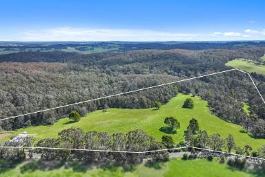 Mixed Farming For Sale - VIC - Neerim South - 3831 - Lifestyle, Views & Country Charm on 44 Acres  (Image 2)