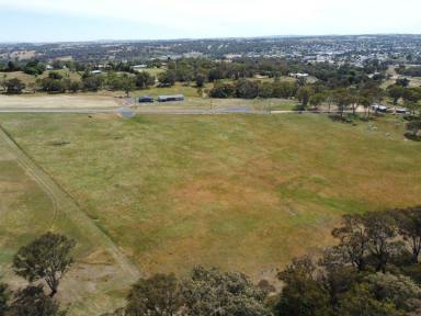 Residential Block For Sale - NSW - Young - 2594 - LIFESTYLE AT IT"S BEST  (Image 2)