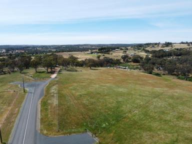 Residential Block For Sale - NSW - Young - 2594 - LIFESTYLE AT IT"S BEST  (Image 2)