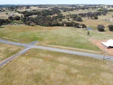 Residential Block For Sale - NSW - Young - 2594 - LIFESTYLE AT IT"S BEST  (Image 2)