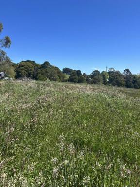 Residential Block For Sale - VIC - Lavers Hill - 3238 - A place to get away  (Image 2)