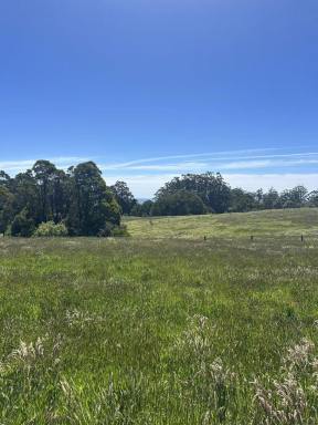 Residential Block For Sale - VIC - Lavers Hill - 3238 - A place to get away  (Image 2)