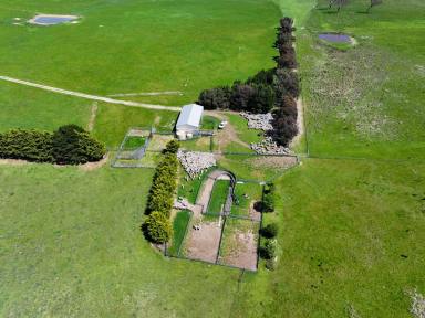 Livestock For Sale - NSW - Golspie - 2580 - TABLELANDS EXPANSION OPPORTUNITY (Image 2)