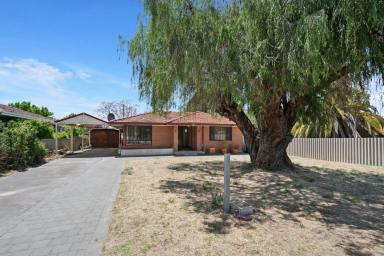 House For Sale - WA - Koondoola - 6064 - Exceptional Investment Opportunity  (Image 2)