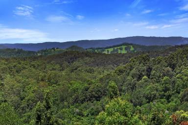 House For Sale - QLD - Ridgewood - 4563 - What a Beautiful Pocket  (Image 2)