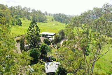Acreage/Semi-rural For Sale - NSW - Kyogle - 2474 - A HORSE LOVERS HAVEN  (Image 2)