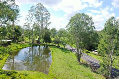 Acreage/Semi-rural For Sale - NSW - Kyogle - 2474 - A HORSE LOVERS HAVEN  (Image 2)
