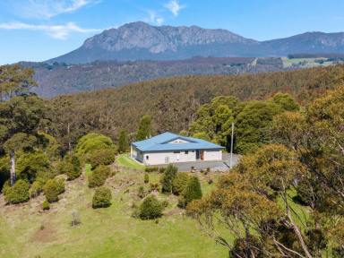 Other (Rural) For Sale - TAS - Erriba - 7310 - A Rare Agro-Forestry Opportunity with Exceptional Views  (Image 2)