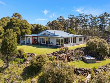 Cropping For Sale - TAS - Erriba - 7310 - A Rare Agro-Forestry Opportunity with Exceptional Views  (Image 2)