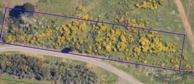 Residential Block For Sale - TAS - Waratah - 7321 - Wonderful Waratah!  (Image 2)