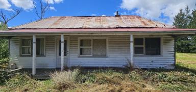 House For Sale - TAS - Sidmouth - 7270 - Circa 1880 Cottage (Image 2)