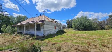 House For Sale - TAS - Sidmouth - 7270 - Circa 1880 Cottage (Image 2)