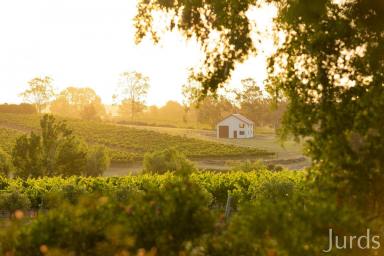 Lifestyle For Sale - NSW - Pokolbin - 2320 - A Lifestyle Worth Savouring in Hunter Valley Wine Country (Image 2)