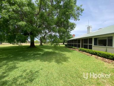 Mixed Farming For Sale - NSW - Inverell - 2360 - 'Beaumont' 1198 Bukkulla Road, Ashford NSW 2361 (Image 2)