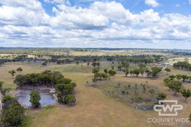 Mixed Farming For Sale - NSW - Emmaville - 2371 - Rockley Rose  (Image 2)