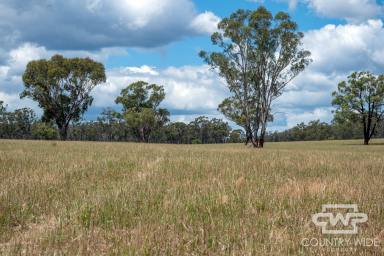 Mixed Farming For Sale - NSW - Emmaville - 2371 - Rockley Rose  (Image 2)