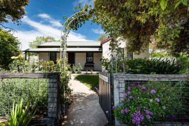 House For Sale - SA - Naracoorte - 5271 - Patterson Cottage - Where Character Meets Charm (Image 2)