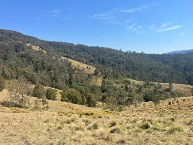 Lifestyle For Sale - NSW - Nowendoc - 2354 - LIFESTYLE WITH COOPLACURRIPA RIVER FRONTAGE  (Image 2)