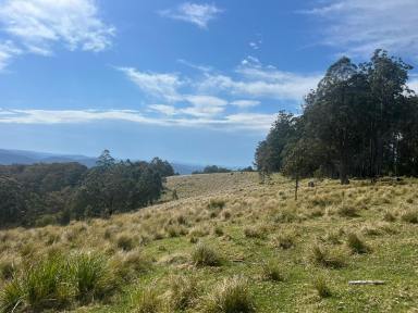 Lifestyle For Sale - NSW - Nowendoc - 2354 - LIFESTYLE WITH COOPLACURRIPA RIVER FRONTAGE  (Image 2)