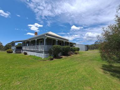 Lifestyle For Sale - QLD - Geham - 4352 - Renovated Queenslander, two bores, dam, stable, yards, sheds, and a Tiny house all on 50 Acres.  (Image 2)