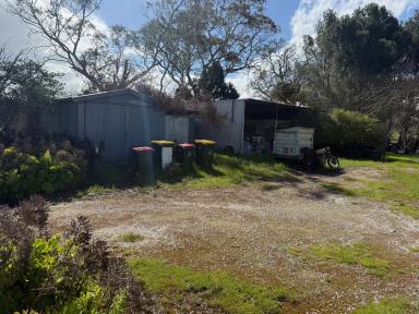 House Sold - SA - Eden Valley - 5235 - Affordable cottage on large country block, ripe for renovation  (Image 2)