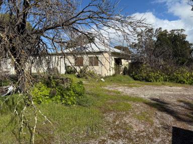 House Sold - SA - Eden Valley - 5235 - Affordable cottage on large country block, ripe for renovation  (Image 2)