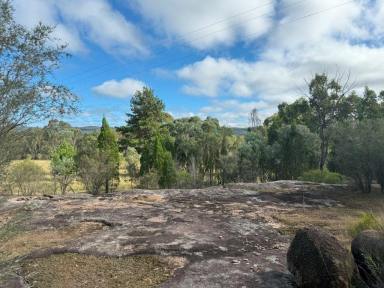 Residential Block For Sale - QLD - Ballandean - 4382 - Beautiful Ballandean / Fletcher (Image 2)