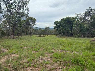 Residential Block For Sale - QLD - Ballandean - 4382 - Beautiful Ballandean / Fletcher  (Image 2)