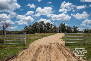 Lifestyle For Sale - NSW - Torrington - 2371 - Beautiful 10 Acres – Fully Fenced & With Building Entitlement  (Image 2)