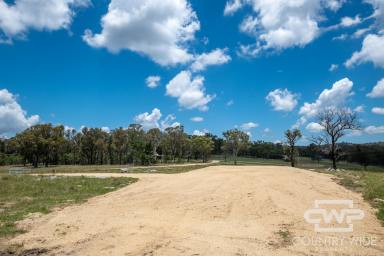 Lifestyle For Sale - NSW - Torrington - 2371 - Beautiful 10 Acres – Fully Fenced & With Building Entitlement  (Image 2)