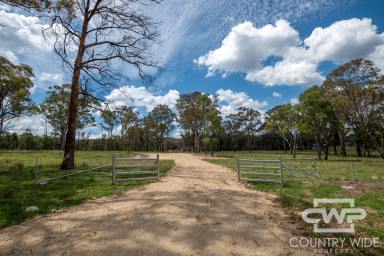 Lifestyle For Sale - NSW - Torrington - 2371 - Beautiful 7.5 Acres – Fully Fenced & With Building Entitlement  (Image 2)