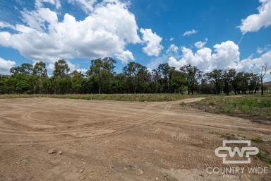 Lifestyle For Sale - NSW - Torrington - 2371 - 3.5-acre Level Building Block  (Image 2)
