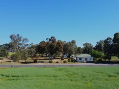 House For Sale - NSW - Young - 2594 - 5 Bedroom Home in the Peaceful Village of Thuddungra  (Image 2)