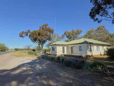 House For Sale - NSW - Young - 2594 - 5 Bedroom Home in the Peaceful Village of Thuddungra  (Image 2)