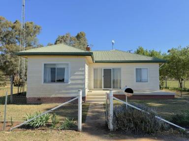 House For Sale - NSW - Young - 2594 - 5 Bedroom Home in the Peaceful Village of Thuddungra  (Image 2)