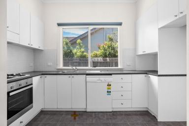 House Leased - VIC - Mentone - 3194 - Stylish Californian Looking Into The Sun  (Image 2)