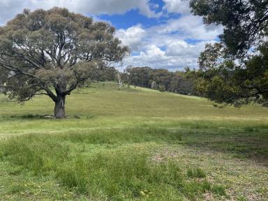 Mixed Farming For Sale - VIC - Ballan - 3342 - 82 Acres of Prime Farming Land With Panoramic Views Build Your Dream Lifestyle (STCA) (Image 2)