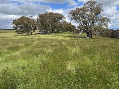 Mixed Farming For Sale - VIC - Ballan - 3342 - 82 Acres of Prime Farming Land With Panoramic Views Build Your Dream Lifestyle (STCA) (Image 2)