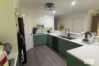 House For Lease - QLD - Placid Hills - 4343 - NEW TO THE RENTAL MARKET – SPACIOUS 4-BEDROOM BRICK HOME ON ¾ ACRE  (Image 2)