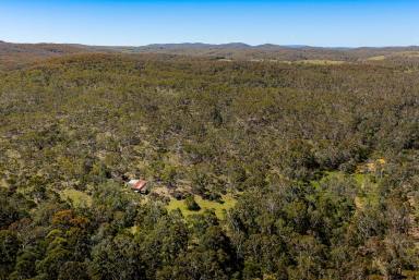 Lifestyle For Sale - NSW - Goulburn - 2580 - Private Oasis  (Image 2)