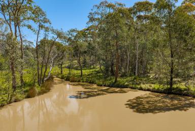 Lifestyle For Sale - NSW - Goulburn - 2580 - Private Oasis  (Image 2)
