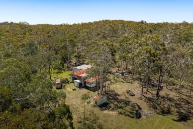 Lifestyle For Sale - NSW - Goulburn - 2580 - Private Oasis  (Image 2)