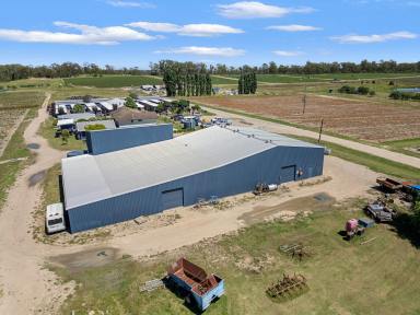 Horticulture For Sale - QLD - Cottonvale - 4375 - Leading Granite Belt Strawberry/Vegetable farm  (Image 2)