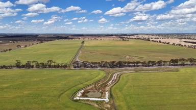 Mixed Farming For Sale - WA - Katanning - 6317 - Exceptional Mixed Farming Opportunity - Great Southern WA  (Image 2)