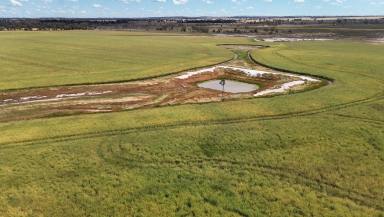 Mixed Farming For Sale - WA - Katanning - 6317 - Exceptional Mixed Farming Opportunity - Great Southern WA  (Image 2)